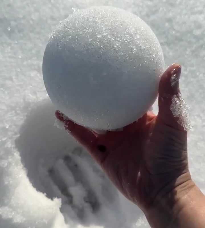 The perfect snowball