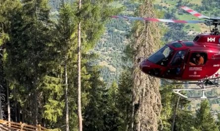 The pilots of Air Zermatt, a Swiss air rescue and helicopter services company, are renowned for their exceptional alpine flying skills. Here, one of their helicopters lands on a dead tree with remarkable precision.