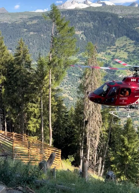 The pilots of Air Zermatt, a Swiss air rescue and helicopter services company, are renowned for their exceptional alpine flying skills. Here, one of their helicopters lands on a dead tree with remarkable precision.