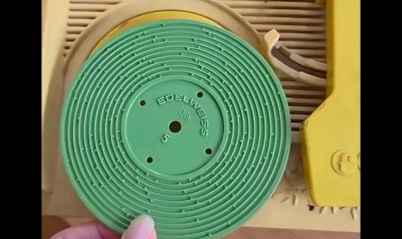 The ratchet and clank sounds on this 70's children's music player
