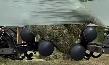 The smooth, overlapping layers of this agricultural wrapper