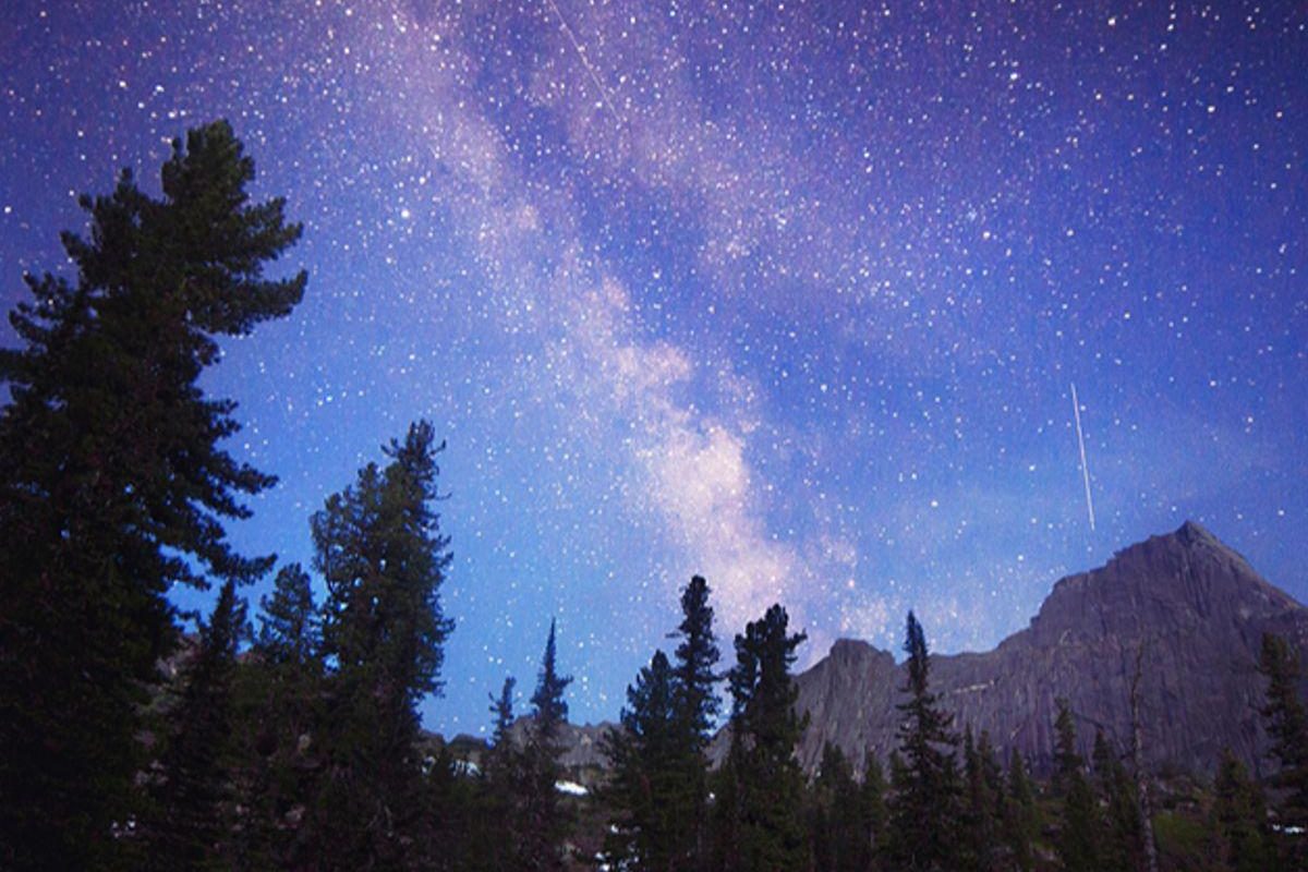 There are more trees on Earth than stars in the entire Milky Way galaxy. While our galaxy holds roughly 100 to 400 billion stars, Earth boasts an estimated 3 trillion trees