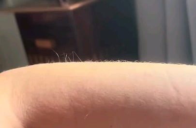 This European Starling's impressive sound range.