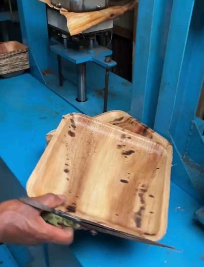 This Is How Eco-Friendly Leaf Plates Are Manufactured