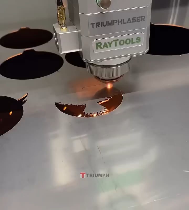 This Laser Cutting Machine