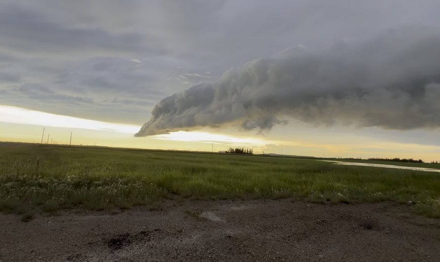 This descending cloud formation.