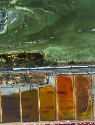 This is Sambhar Lake, India’s largest saltwater lake, where evaporation creates these insane colors from deep reds and pinks to vibrant oranges, yellows, and purples.