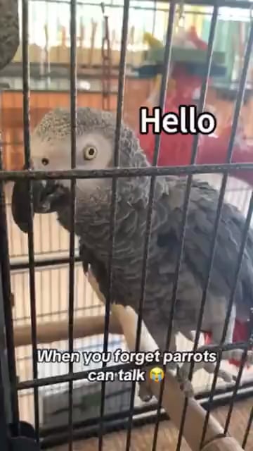 This is adorable
