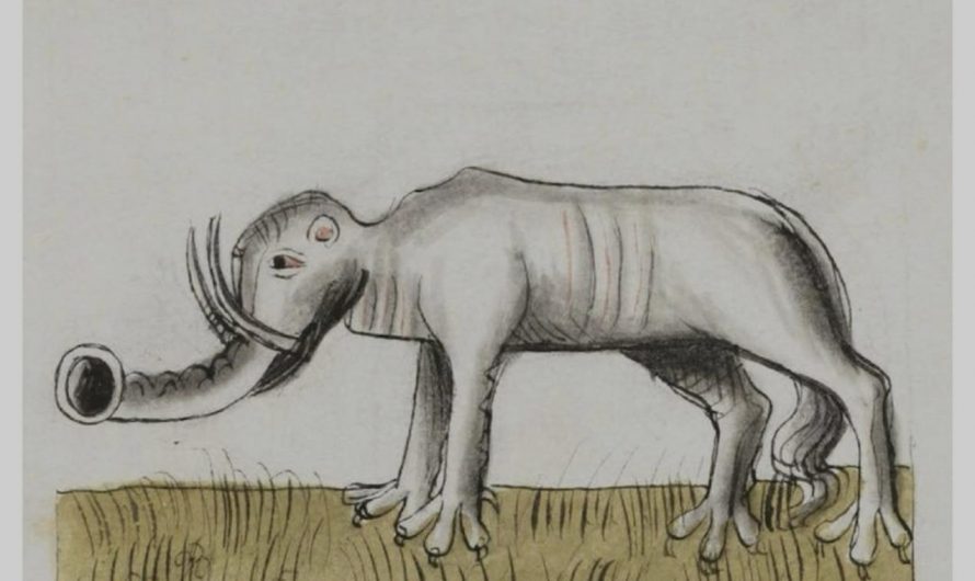 This is an image of an elephant by a medieval painter who had never actually seen an elephant but had read about it.