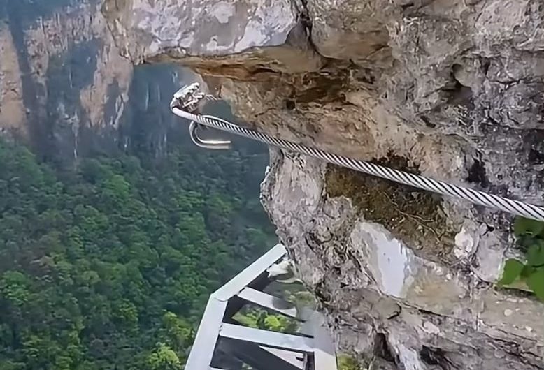 This is on Zhangjiajie Grand Canyon, a cliffside climbing route suspended 300 meters above the valley floor