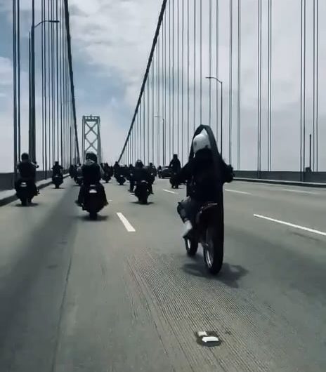 This motorcycle roll cage keeps the rider off the ground during a rollover.