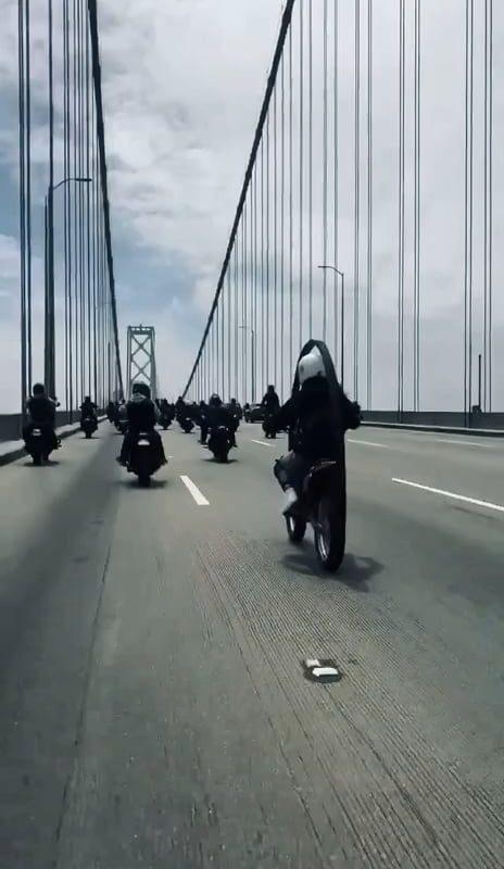 This motorcycle roll cage keeps the rider off the ground during a rollover.