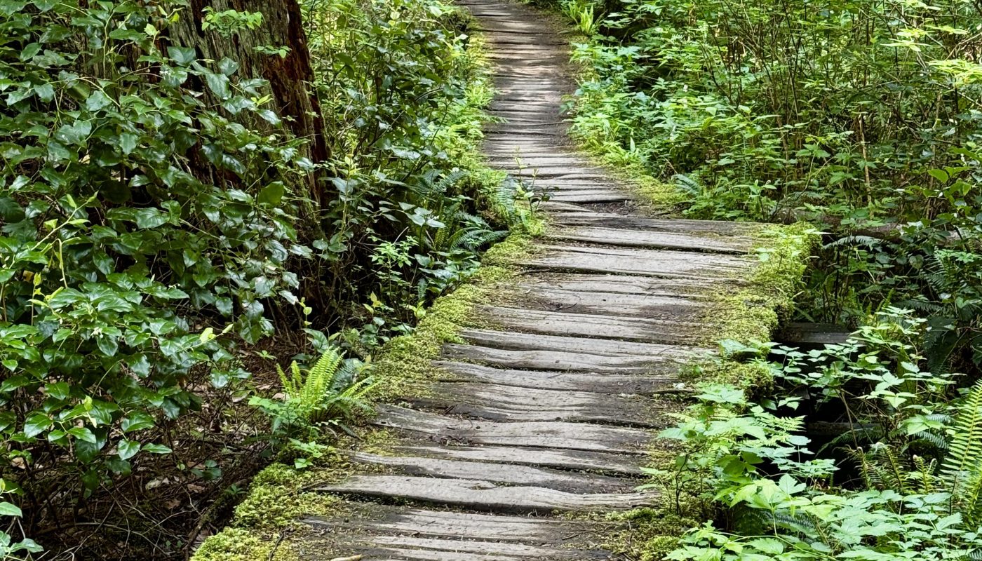 This old wooden boardwalk