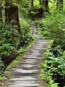 This old wooden boardwalk
