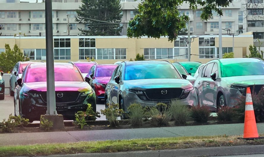 This parking lot viewed with polarized glasses