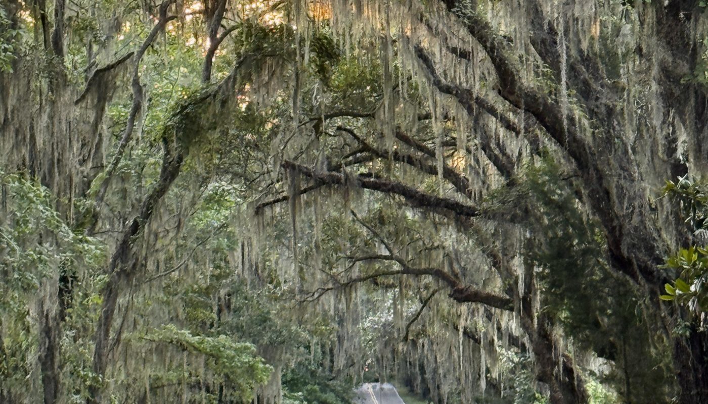 This road in the southern US
