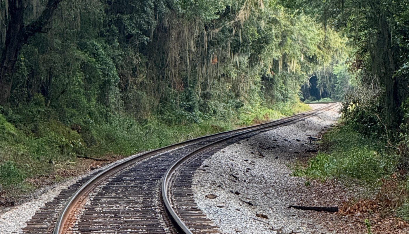 Train tracks curving through a forest tunnel