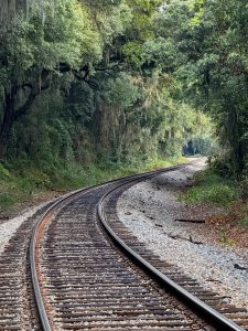 Train tracks curving through a forest tunnel