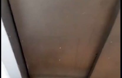 Turkish man finds a rat in the elevator, and calls a cat for help and the cat does it for him!
