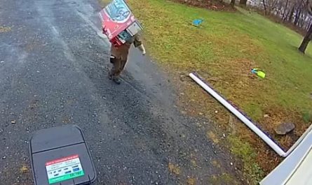 UPS delivery man goes the extra level to hide the package