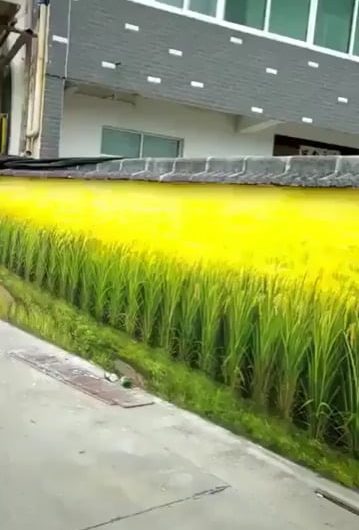 Ultra realistic painting