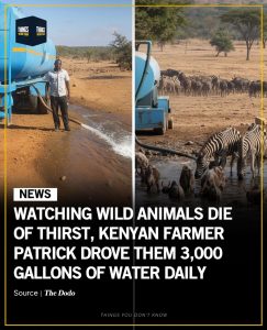 Watching animals die of thirst, Kenyan farmer drove them 3,000 gallons of water daily.