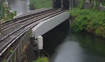 Watching five trains passing by at the same time in Tokyo