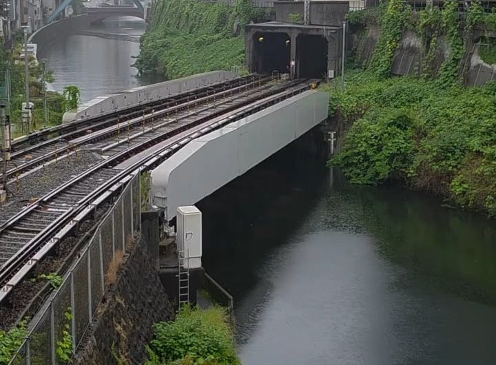 Watching five trains passing by at the same time in Tokyo