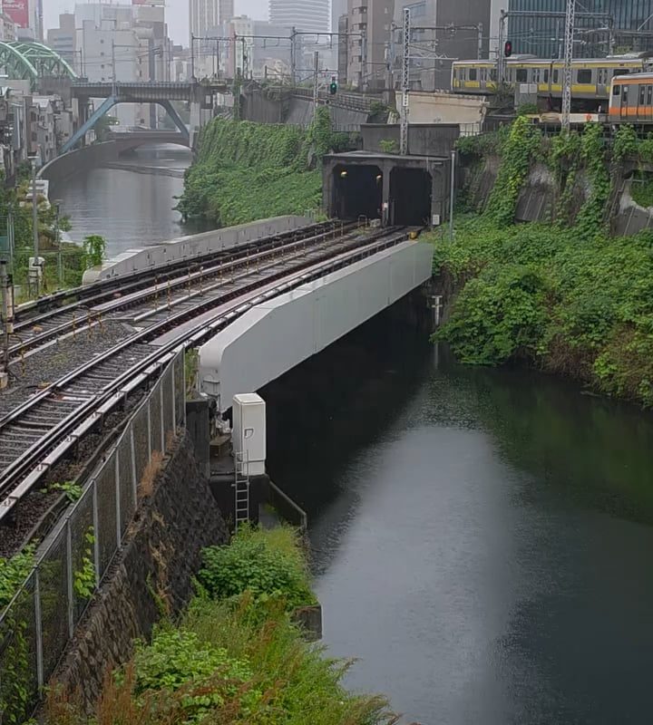 Watching five trains passing by at the same time in Tokyo