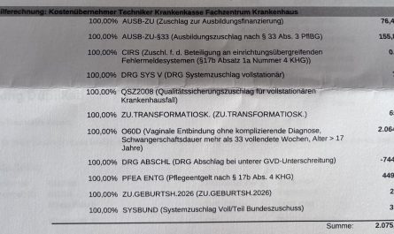 What giving birth costs in Germany
