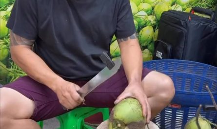 Whole Coconut Retrieval
