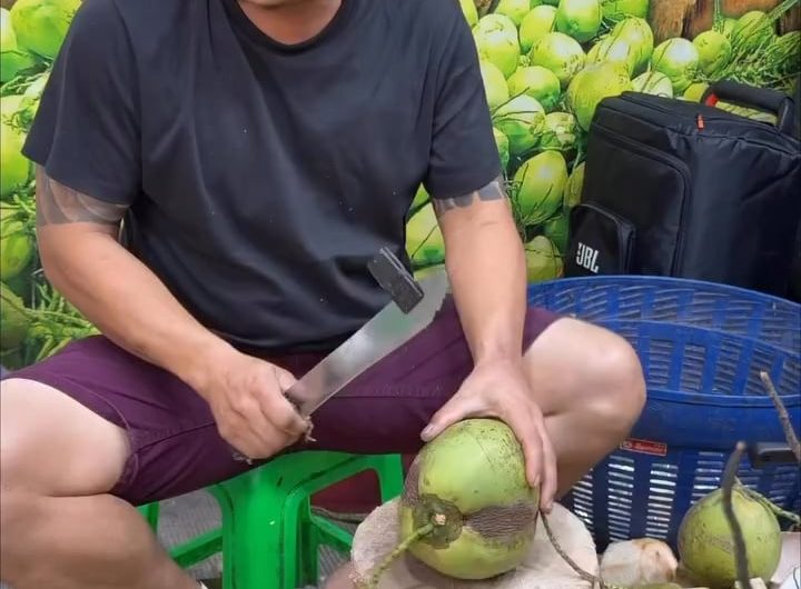 Whole Coconut Retrieval