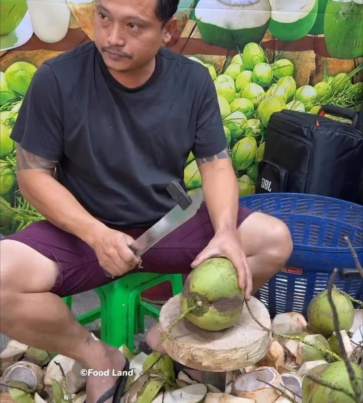 Whole Coconut Retrieval