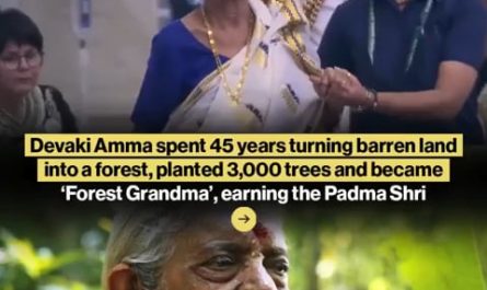 Women spent 45 turning barren land into a forest, planeted 3,000 trees and became 'Forest Grandma'