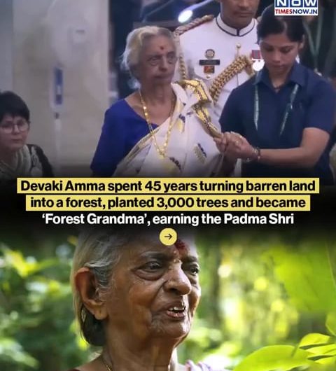 Women spent 45 turning barren land into a forest, planeted 3,000 trees and became ‘Forest Grandma’