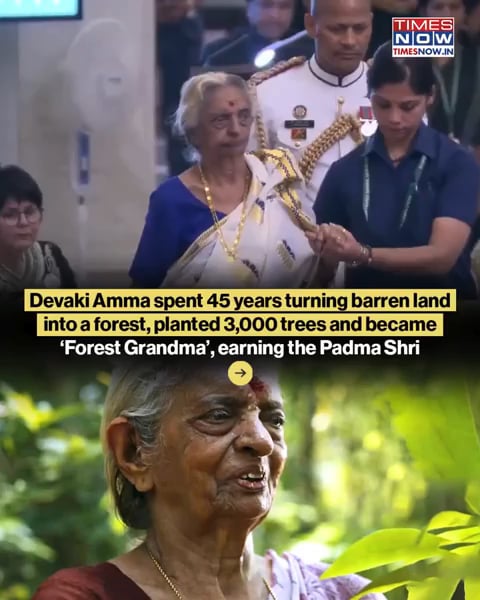 Women spent 45 turning barren land into a forest, planeted 3,000 trees and became 'Forest Grandma'