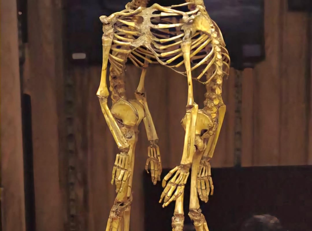 *