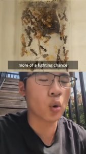 *