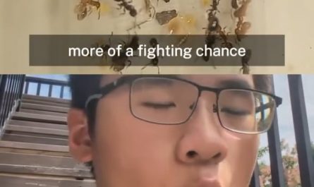 *