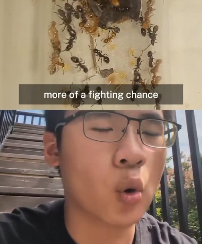 *