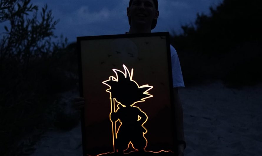 my handmade Goku LED light painting. Sorry for the goofy face