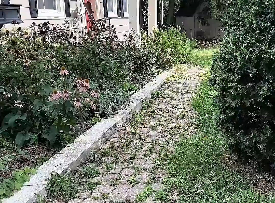 woman rips up front yard to create a beautiful pathway