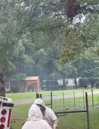 ​A truck carrying 406 beehives crashed in Texas, releasing 24 million bees and locking down the neighborhood