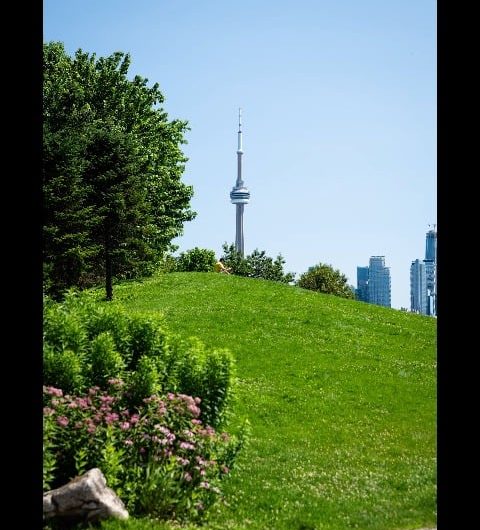 A hyperlapse of the CN Tower