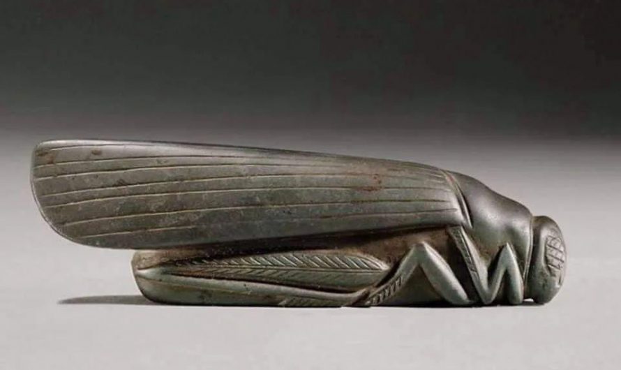 Ancient Babylonians carved standard weights into the shape of animals. This grasshopper-shaped one is nearly 3,800 years old