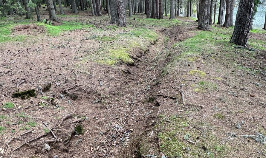 Balkan wars/WWI era trenches near “Golyam Beglik” lake in Bulgaria. You can still see the remains of the sangars/machine gun nests. The stones used were taken from the near by medieval fortress ”Toshboazko kale” completely destroying what remained of it. (Last pic shows all that is left of it)