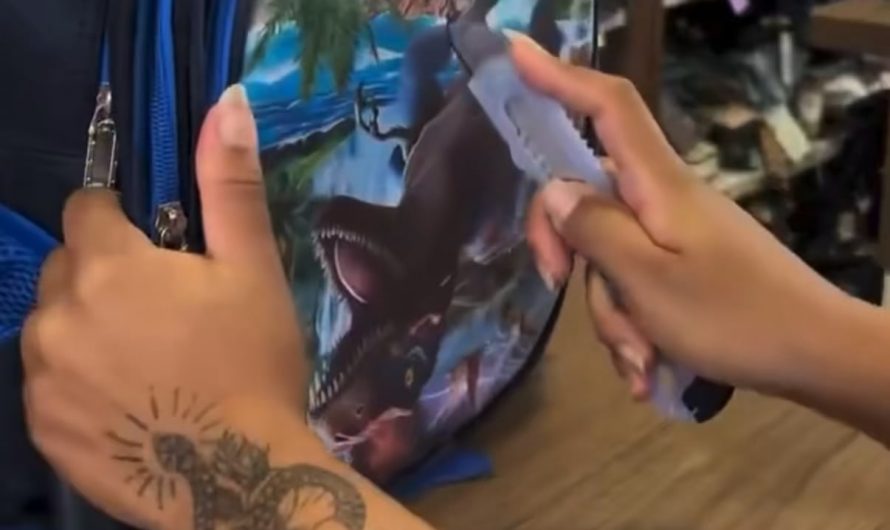 Chinese scammers put a film with a general print on schoolbags to fool customs, so the vendor can reveal the copyrighted content later