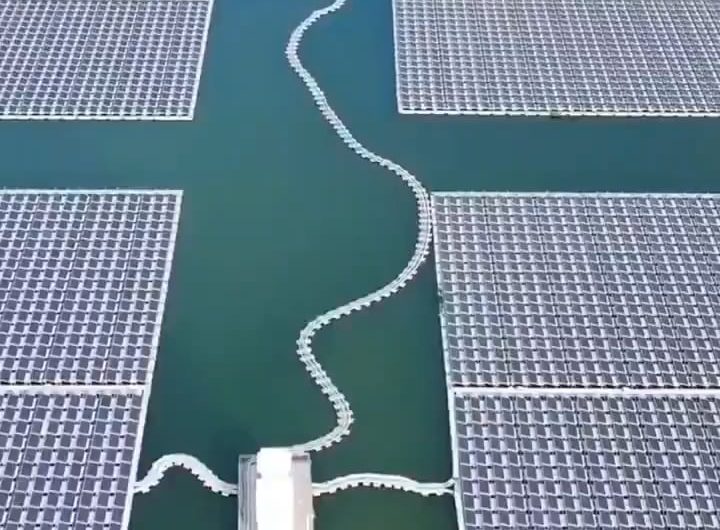 Chinese two-in-one solar and fish farm