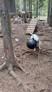 Goat gets a hanging ball swinging so he can play