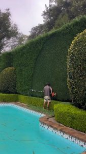 High cutting hedge